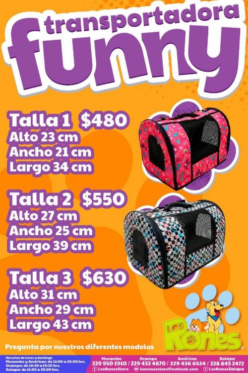 241140336_657111039025052_5043059151888489961_n