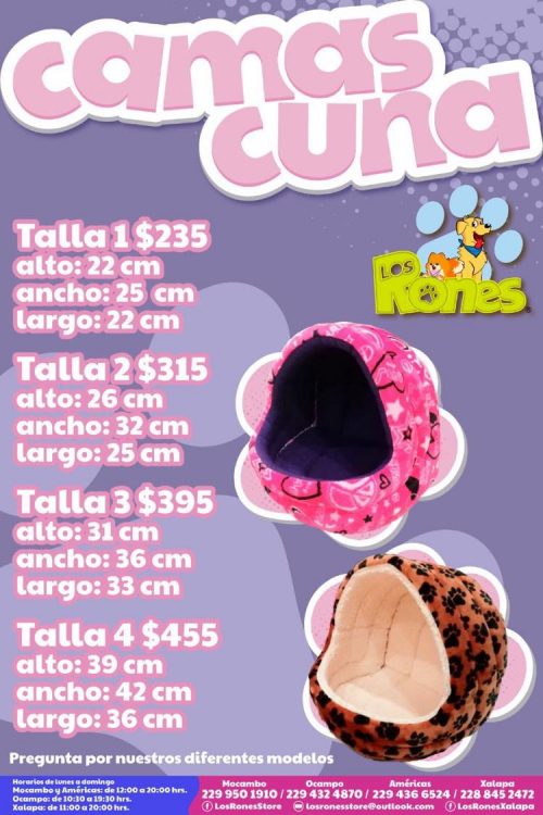 241302164_387551826077385_9172349584134981319_n