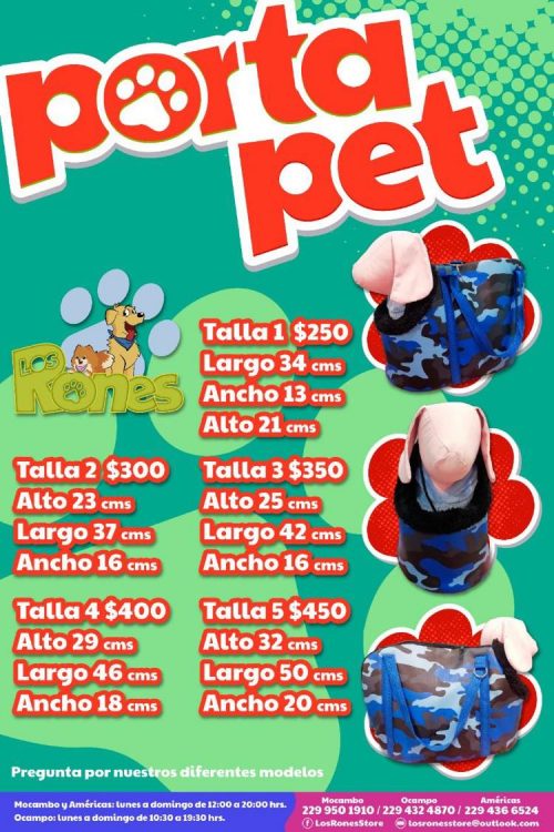 241334431_3045860015661075_5786668408532620401_n