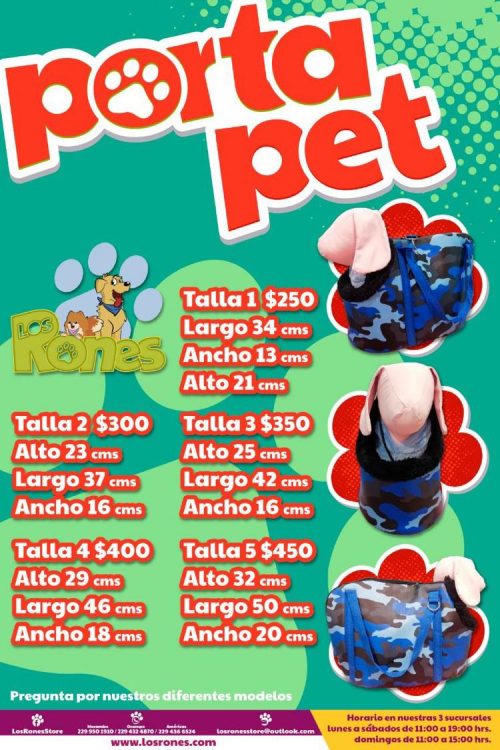 241359692_497488201421829_8085856708623828981_n