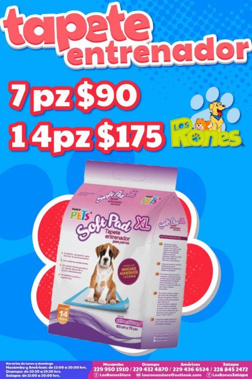 241388907_840578083302421_5104999574284421464_n