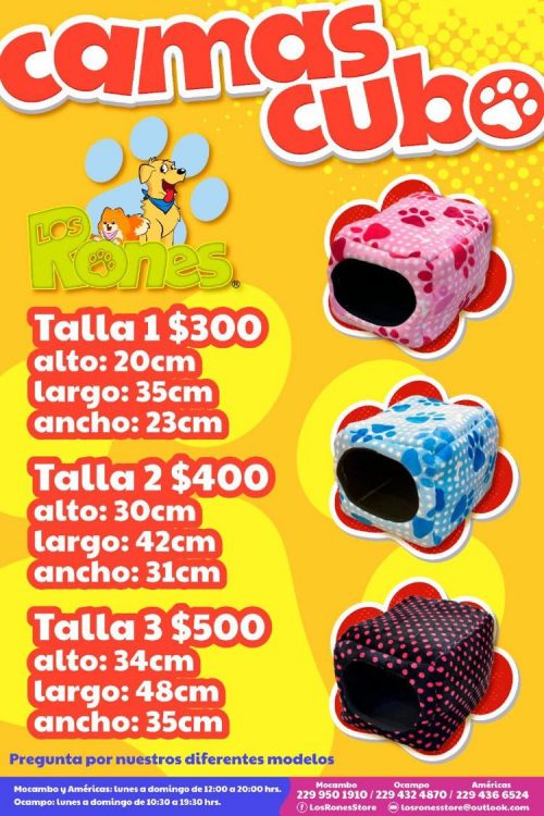 241415245_541722637044454_1812910919308238995_n