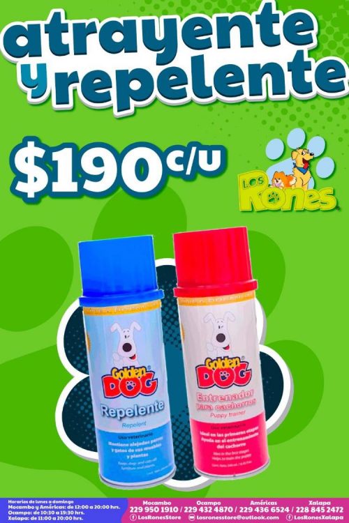 241675466_279280690378322_1079706887728928732_n