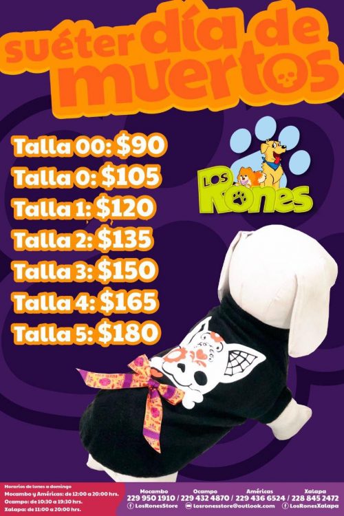 241784121_955137592011099_6192090348587749100_n