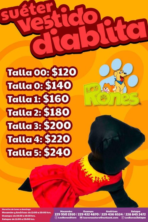 241817804_137467715257107_778039726795339383_n