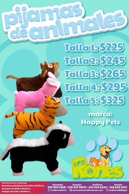 242316444_542348567072391_6059174482950443211_n