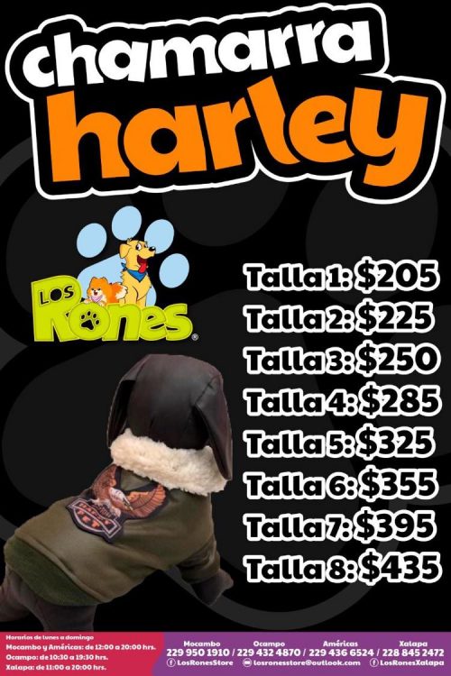 242620793_1226081201194496_3052007606965611815_n