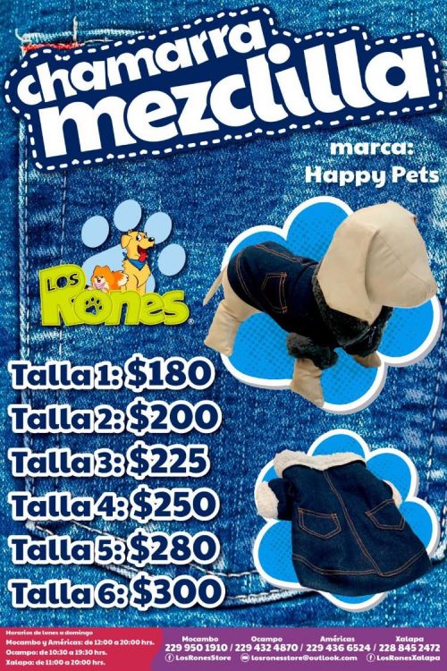 242720103_4285749031521613_6470252897245172032_n