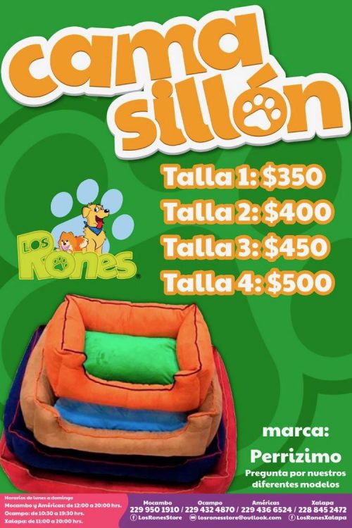 242727145_1360194267729987_7114469279851319020_n