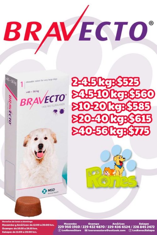 242787683_890381191911550_3249977598858708315_n