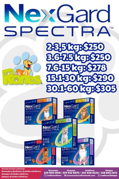 242919236_260201869338129_6271216169445415831_n