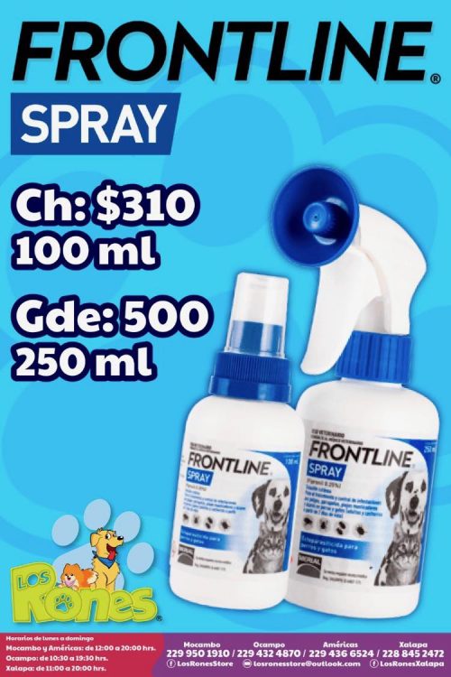 243058738_618023629580808_1563125240698974284_n