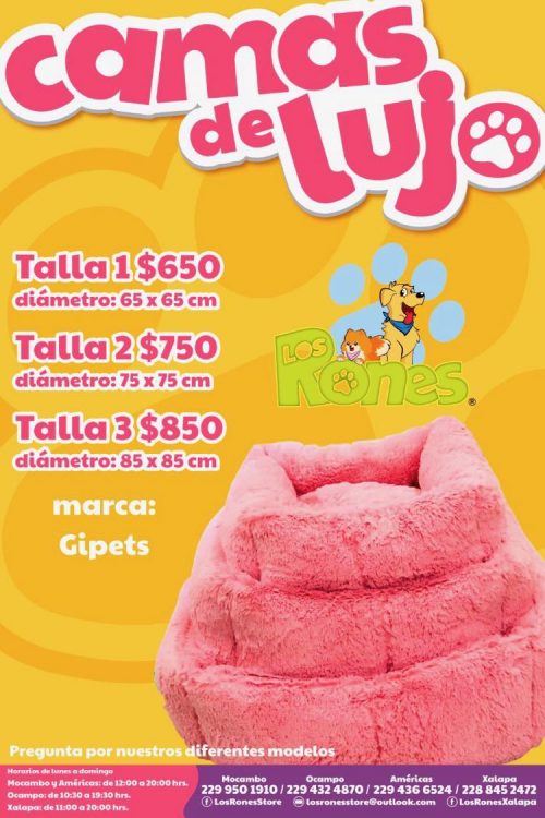 243145011_394765462021795_613900459639633916_n