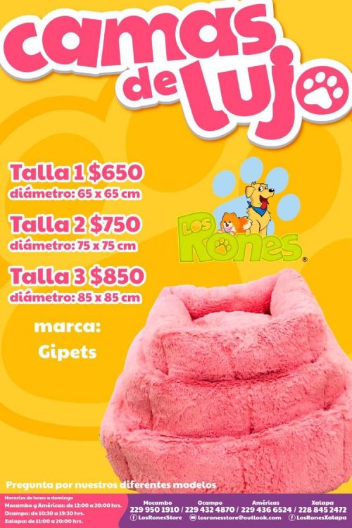 244335033_351081403467309_8225192854052460075_n