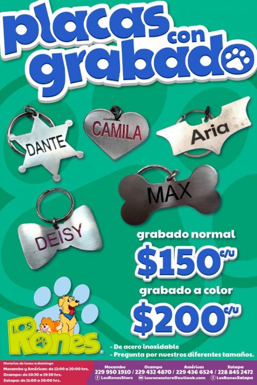 244352252_228637975913116_8423470588266604289_n