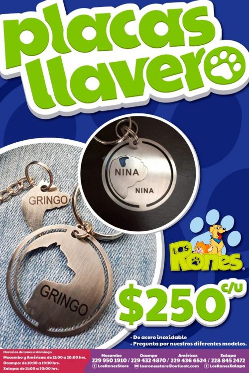 244374556_284415760081408_6147933979792353648_n