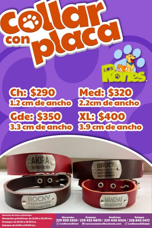 244412053_621114512230674_391369981168397579_n