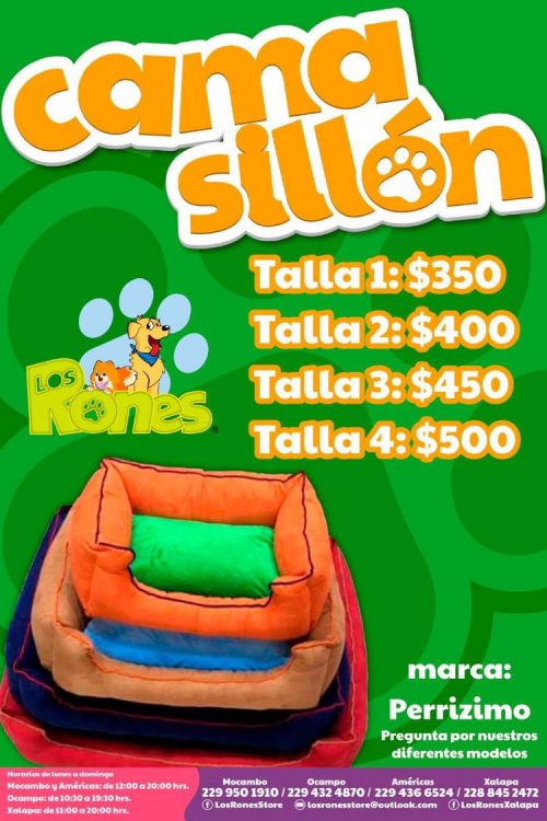 244421463_1267524567048147_6957957059083146226_n