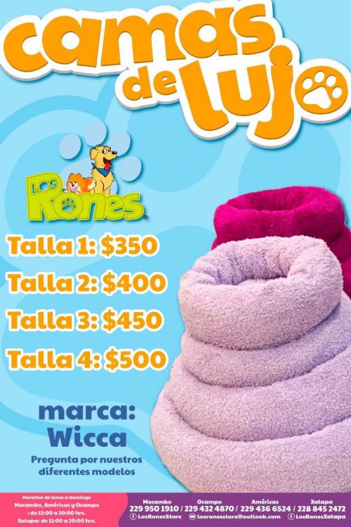 244627652_1016168992557726_9207146855685594363_n