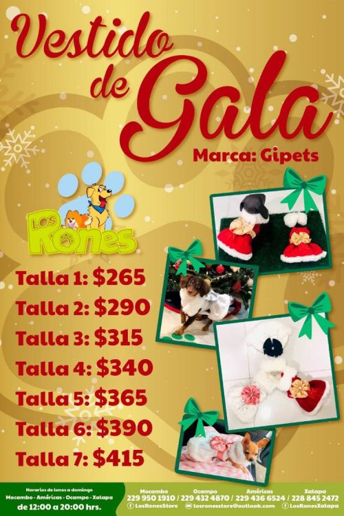 259743923_974514059805680_5163643206449077288_n