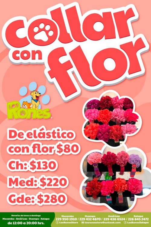 259935079_589248025620394_2413506082485564684_n