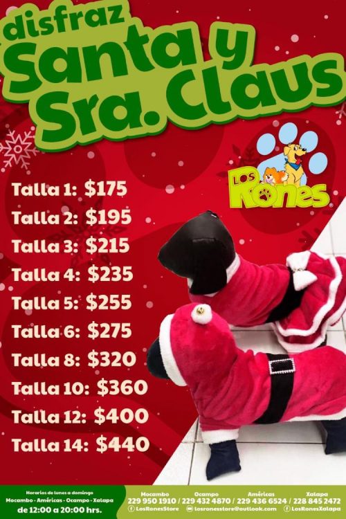 260117163_7138813522811126_7642532849737131776_n