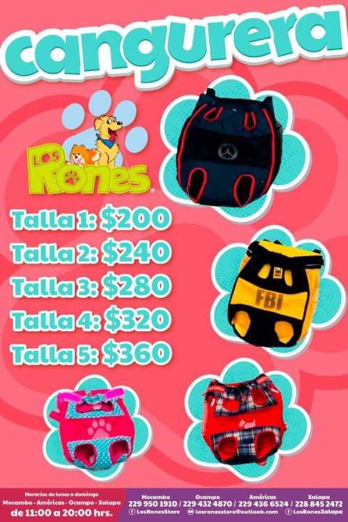 260648558_205506188431681_1228018890551860426_n