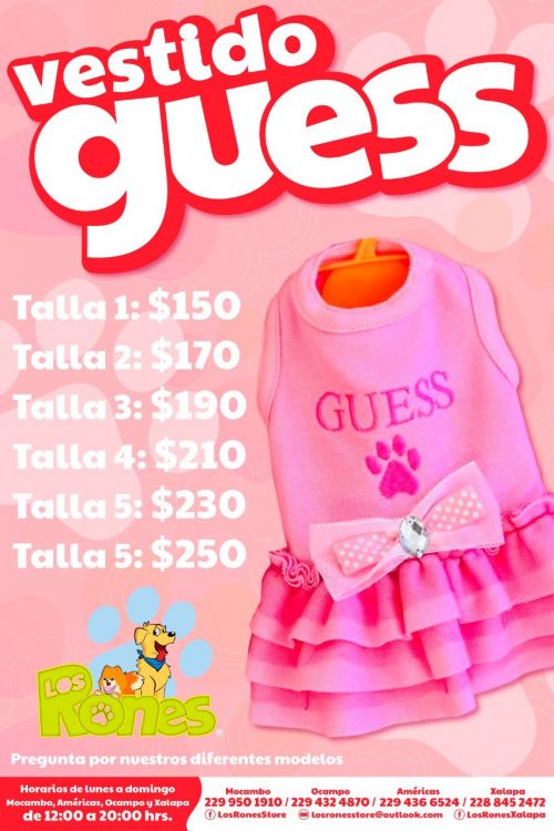 d5bb1327-4345-44b8-850c-e0fbe24e8fa4