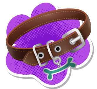 correas-y-placas
