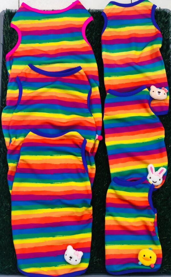 Camisa Pride