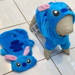 Sueter Stich