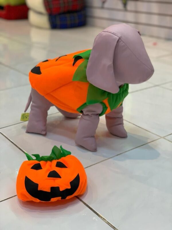 Disfraz Calabaza