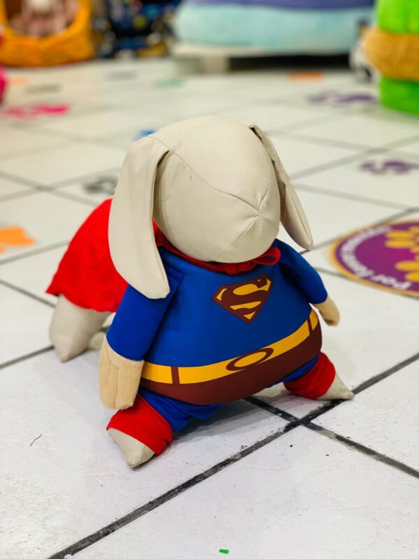 Botarga Superman