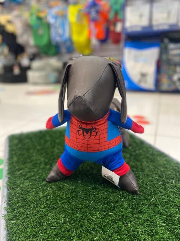 Botarga Spiderman